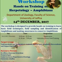 Herpetology Workshop
